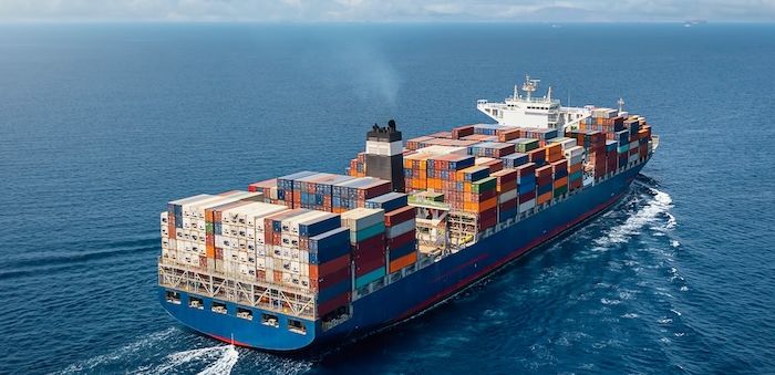 Streamline Your Global Shipping with the Shippo International Module